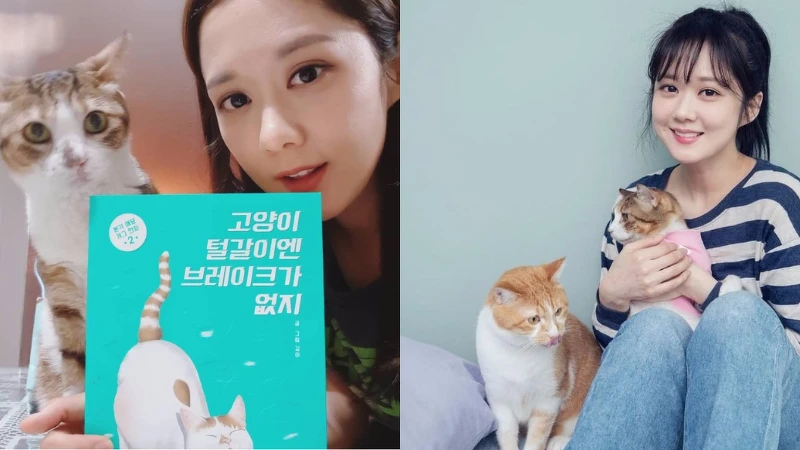 張娜拉是動物保護所義工 張娜拉是動物保護所義工