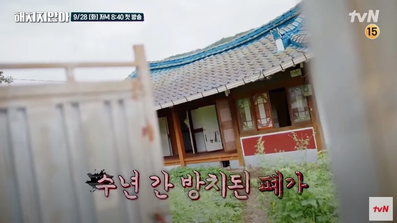 《上流戰爭》3大「國民垃圾」綜藝《不會傷害你》 《上流戰爭》3大「國民垃圾」綜藝《不會傷害你》