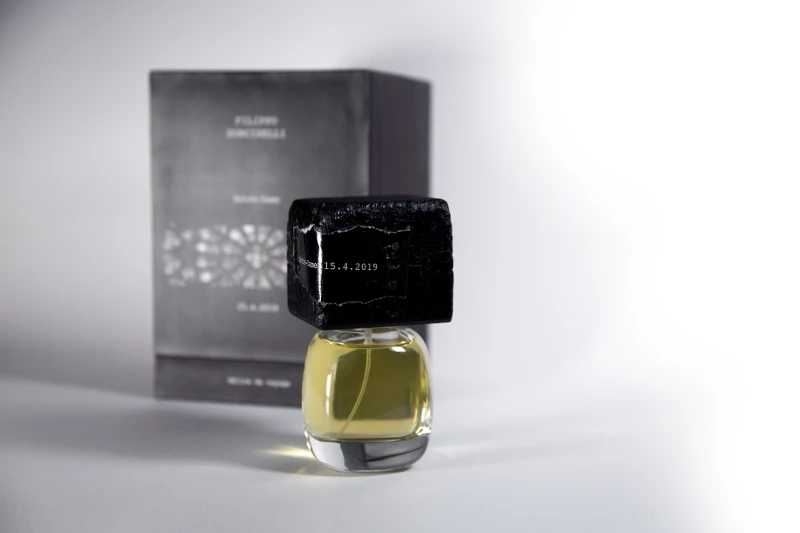 Filippo Sorcinelli_聖母院15.4.2019情境圖 Filippo Sorcinelli_聖母院15.4.2019情境圖