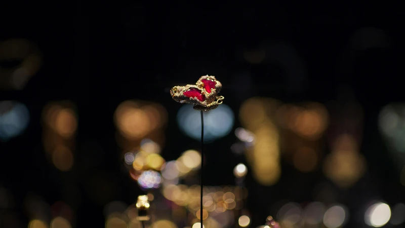 2020年法國巴黎裝飾藝術博物館永久納館典「 紅寶側飛蝴蝶」 博物館典藏展覽室照片