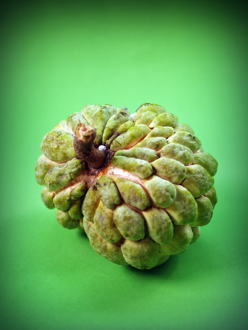 ▲釋迦如縫隙裂開,即代表已過熟。(示意圖 / 翻攝自Pixabay作者41330) ▲釋迦如縫隙裂開,即代表已過熟。(示意圖 / 翻攝自Pixabay作者41330)