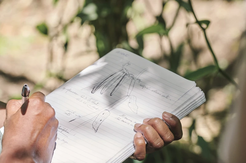 珍貴的五月梵尼蘭具備深度賦活特性，由一群充滿熱忱的工匠於自然環境中培育栽種。