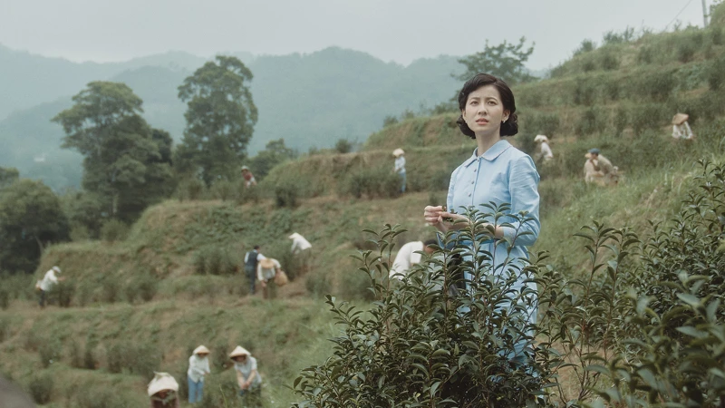 《茶金》講述的是全台最大茶葉出口商的家族興衰