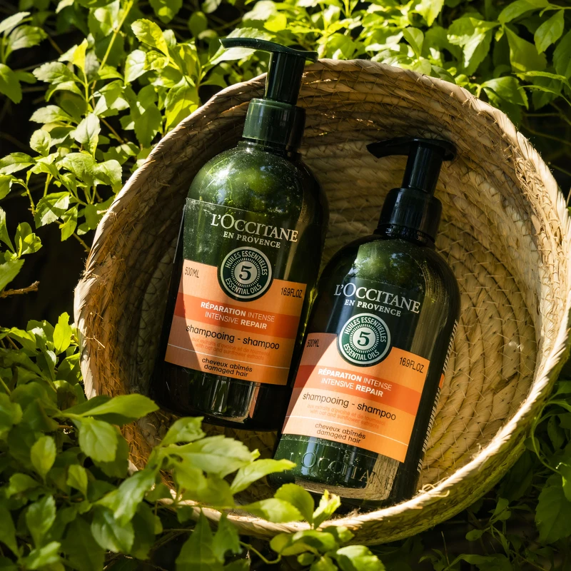 內含:草本修護洗髮乳500ml*2 NT2,020 (原價NT2,800,72折) 內含:草本修護洗髮乳500ml*2 NT2,020 (原價NT2,800,72折)