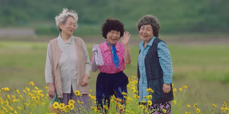 《海岸村恰恰恰》坎離奶奶給我們的勇氣  《海岸村恰恰恰》坎離奶奶給我們的勇氣