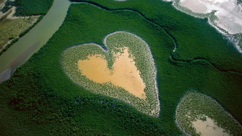 Cœur de Voh en 1990, Nouvelle-Calédonie, France (20°56’ S – 164°39’ E).Heart in Voh, New Caledonia (French Overseas Territory) (20°56' S – 164°39' E).YANN ARTHUS-BERTRAND