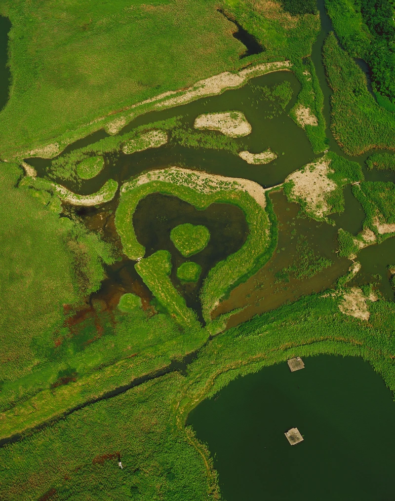 《看見·齊柏林基金會_關渡之心》齊柏林 空中攝影。《財團法人看見・齊柏林基金會》提供 ©台灣阿布電影股份有限公司 版權所有