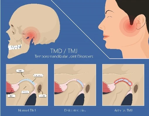 Photo/shutterstock Photo/shutterstock