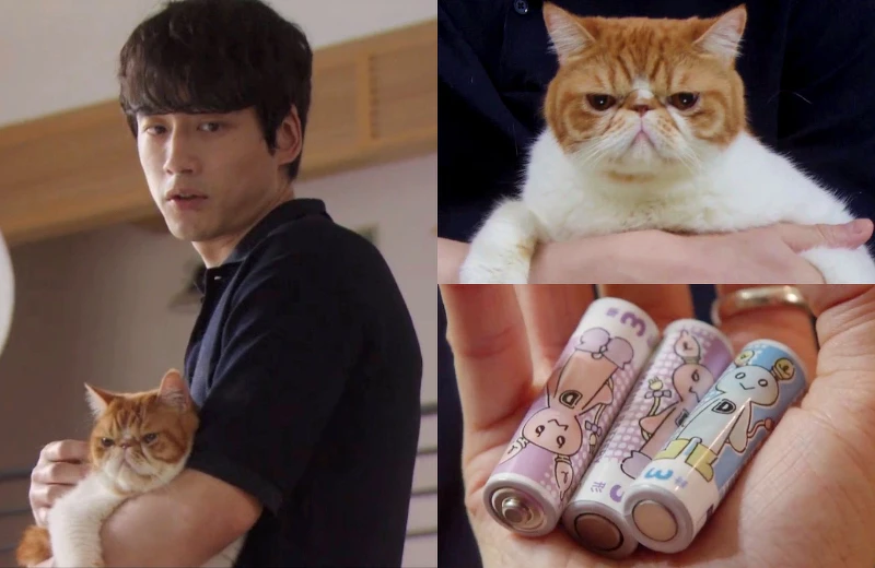 TBS只是在結婚申請書上蓋章 坂口健太郎.麻糬.吸睛的電池 Photo/Friday 影音截圖  TBS只是在結婚申請書上蓋章 坂口健太郎.麻糬.吸睛的電池 Photo/Friday 影音截圖