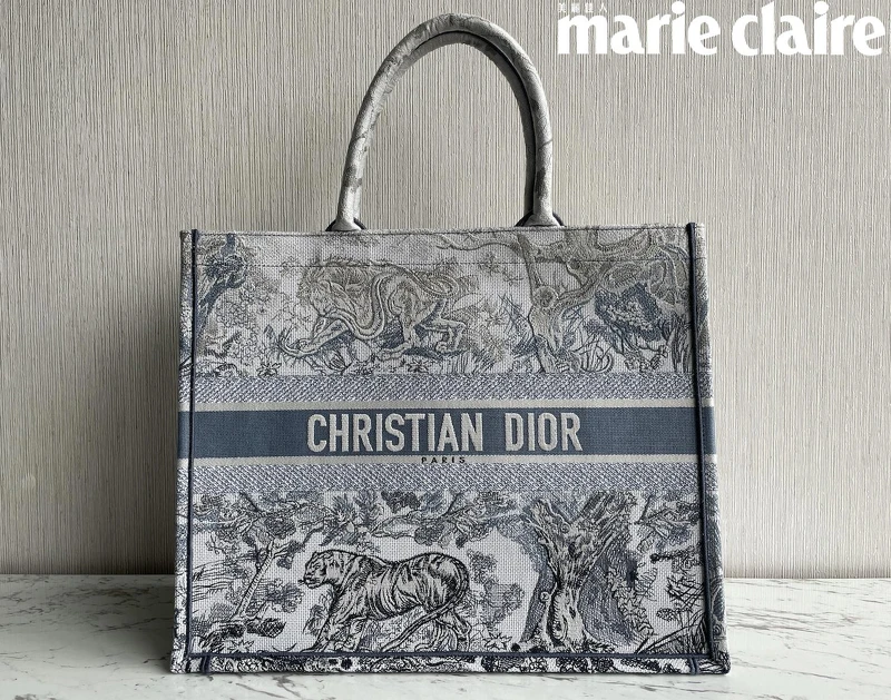 Dior Book Tote漸層色，NT$100,000