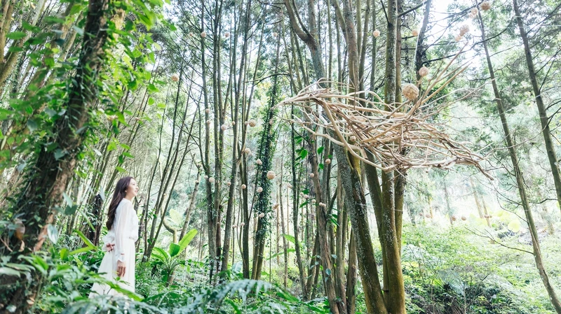 裊裊旅徒 裊裊旅徒