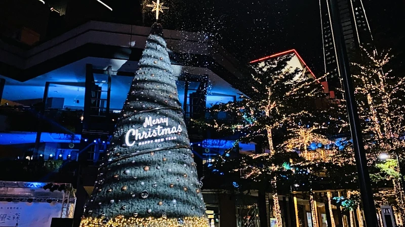 超美的飄雪燈光秀 超美的飄雪燈光秀