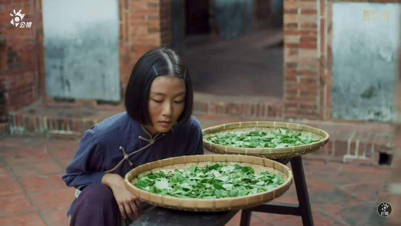 ▲▼山妹挑戰製茶,讓眾人心服口服。(圖/翻攝自公視PTS臺灣 YouTube頻道) ▲▼山妹挑戰製茶,讓眾人心服口服。(圖/翻攝自公視PTS臺灣 YouTube頻道)
