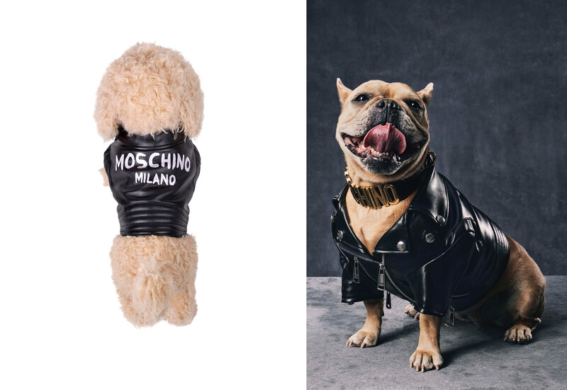 Moschino寵物皮衣,售價NT$19,500 Moschino寵物皮衣,售價NT$19,500