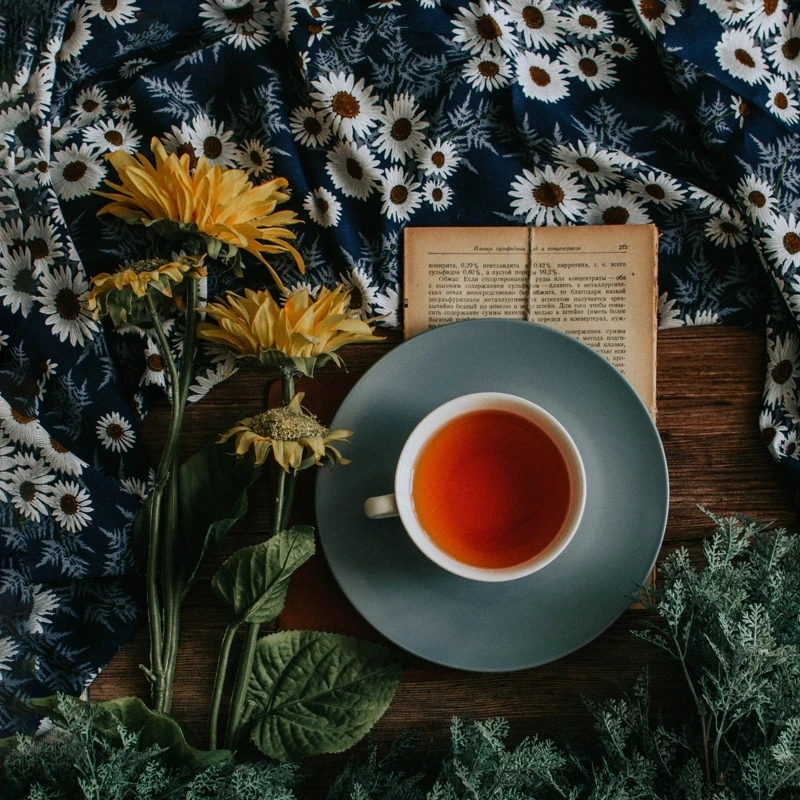 Photo by Loverna Journey on Unsplash. Photo by Loverna Journey on Unsplash.