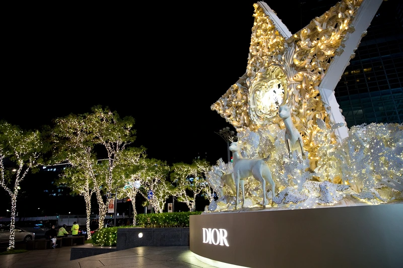 Dior 經典幸運星 Dior 經典幸運星