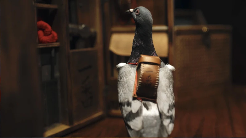 ▲▼鴿子「難八萬」的劇情讓網友直呼超可愛。(圖/公視提供) ▲▼鴿子「難八萬」的劇情讓網友直呼超可愛。(圖/公視提供)