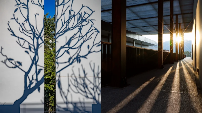 涵碧樓處處皆有迷人光影值得細細留心欣賞