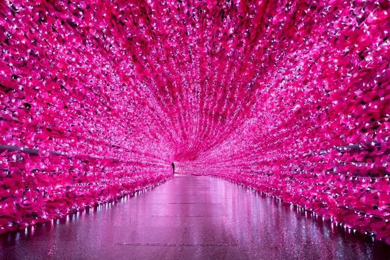 春櫻光廊 春櫻光廊