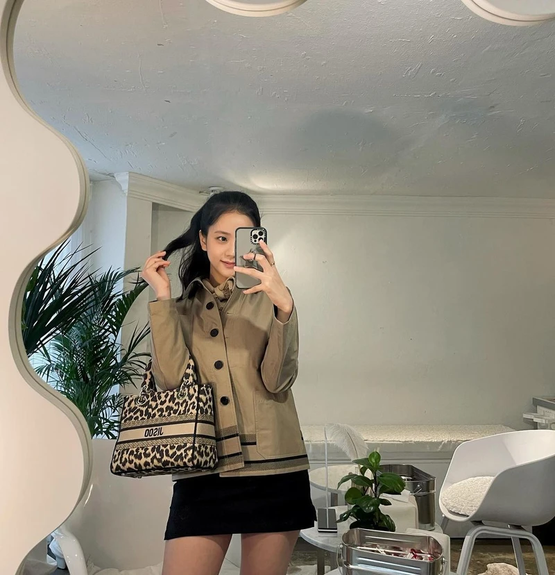 Lady D-Lite手袋 Lady D-Lite手袋