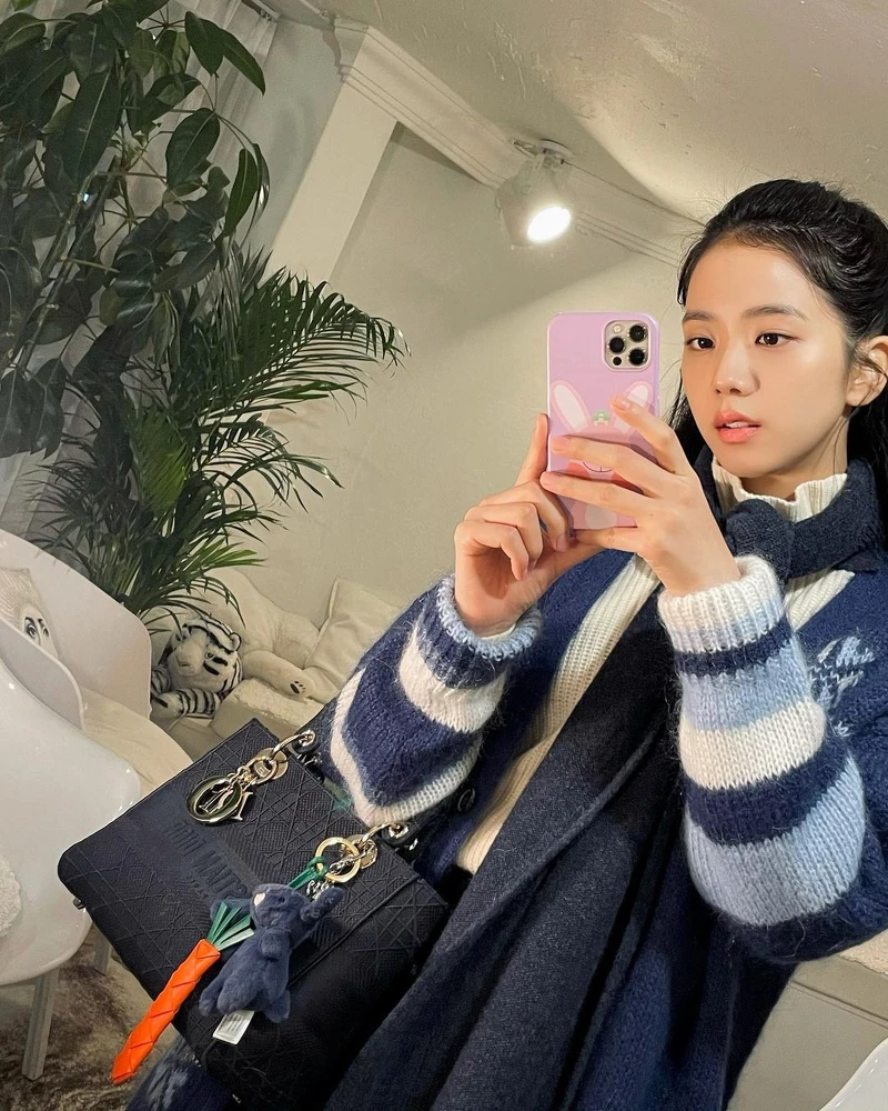 Lady D-Lite手袋 Lady D-Lite手袋