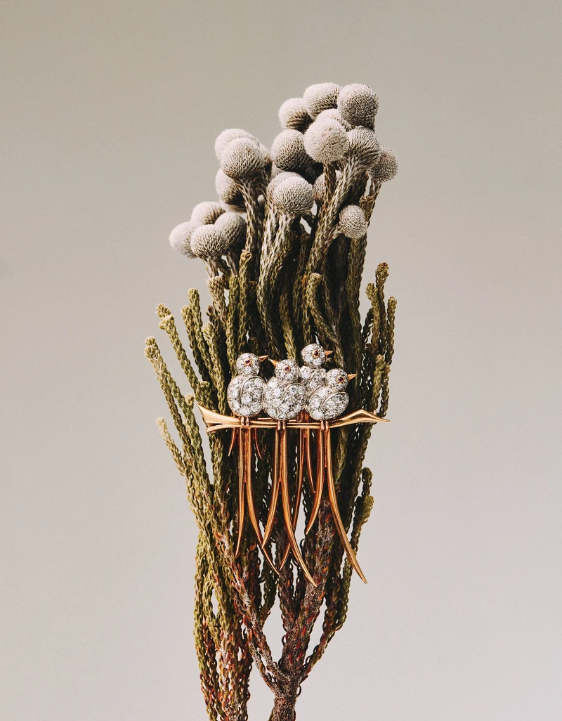 Heritage典藏系列Quatre oiseaux胸針，(1947年，黃K金、鉑金、玫瑰金、紅寶石、鑽石)。