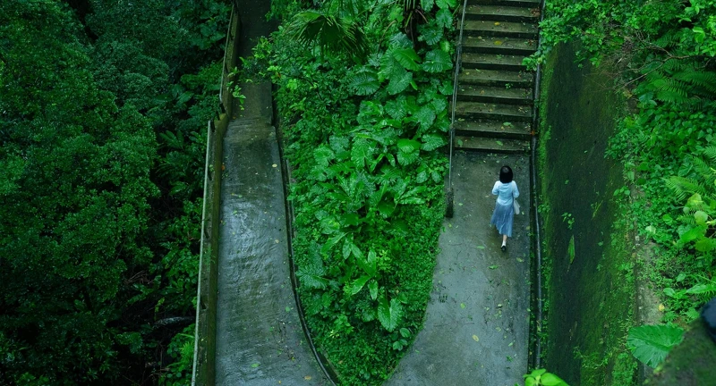 電影《第一爐香》馬思純飾演葛薇龍,離家背景到香港尋求姑媽幫助 電影《第一爐香》馬思純飾演葛薇龍,離家背景到香港尋求姑媽幫助