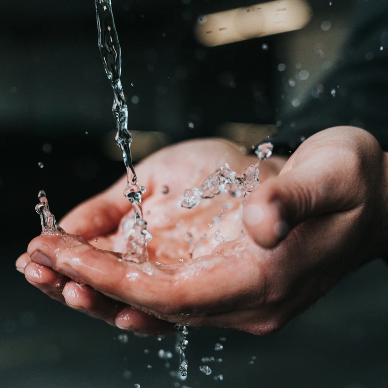 Photo by Nathan Dumlao on Unsplash.