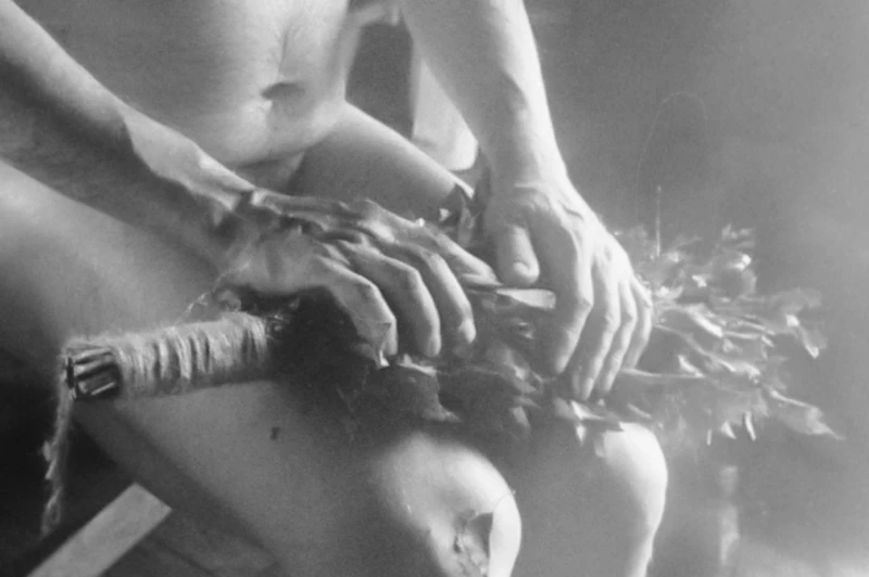 Kenneth Mikko攝影作品(Image from ‘Bastu’ series by Kenneth Mikko. Courtesy of L:A BRUKET.)。