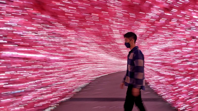 此圖使用Google Pixel 6 Pro手機拍攝