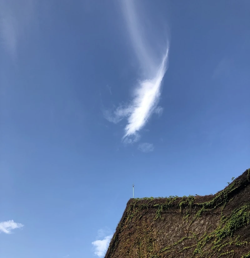 攝於華山／celine