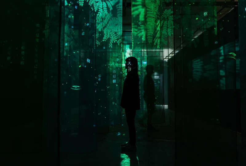 雨豆樹是嘉義高中的校樹，也是策展人黃銘彰與合作團隊印花樂與拾荒文化影像的共同記憶。運用投影動畫技術，讓同為嘉中校友的詩人渡也〈夢見雨豆樹〉詩句和雨豆樹落葉緩緩飄下。