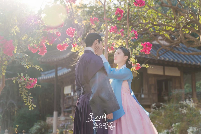 衣袖紅鑲邊結局獲讚賞 完美落幕