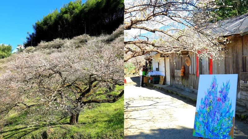 Photo／星空導覽講師吳建德提供