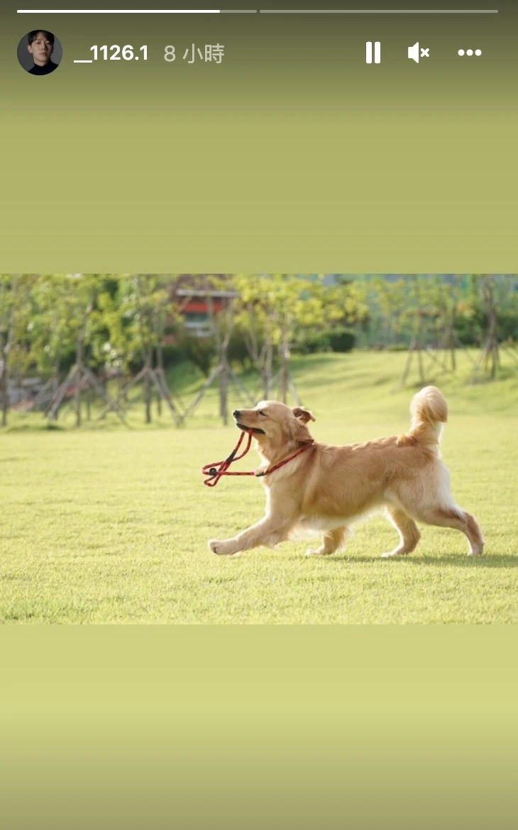 金賢中IG動態放閃宣示主權 金賢中IG動態放閃宣示主權