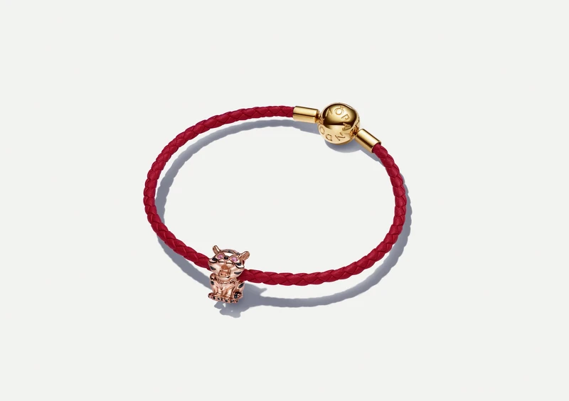 福虎皮繩串飾套組 ，NT$3,980 (原價 NT$5,760)