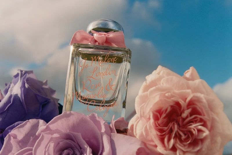 Jo Malone London 2022玫瑰花語系列-Rose & Magnolia玫瑰與星玉蘭限定版香水50ml，NT3,700