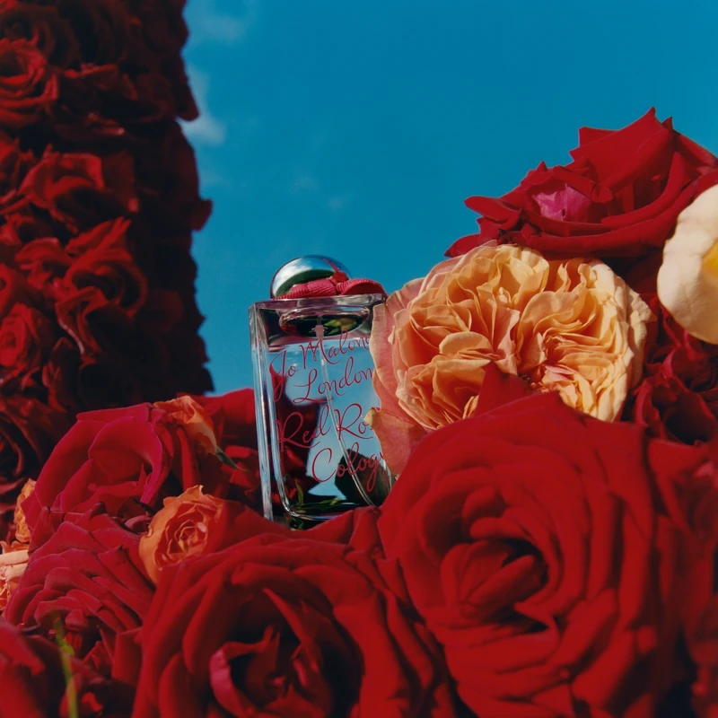 Jo Malone London 2022玫瑰花語系列-Red Rose紅玫瑰限定版香水30ml，NT2,700、100ml，NT5,450