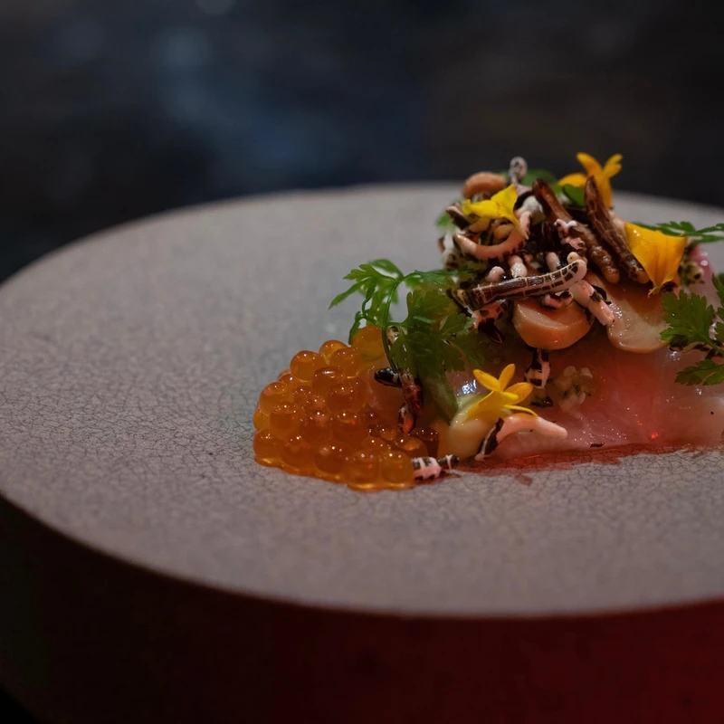 Marc L³。 Marc L³。