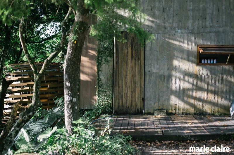 藝術家范承宗設計的餐廳和築巢計畫5紅嘴黑鵯 藝術家范承宗設計的餐廳和築巢計畫5紅嘴黑鵯