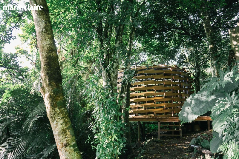 范承宗設計「築巢計畫5紅嘴黑鵯」 范承宗設計「築巢計畫5紅嘴黑鵯」