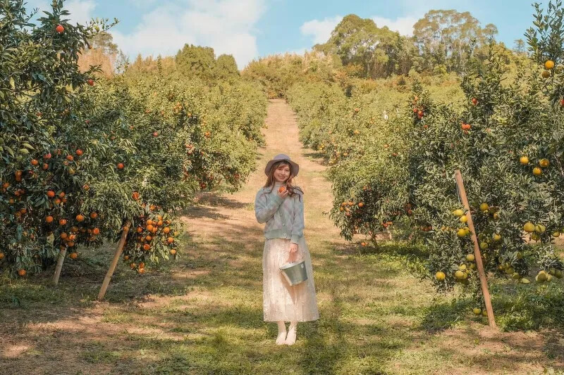 圖 / IG @rong100280 