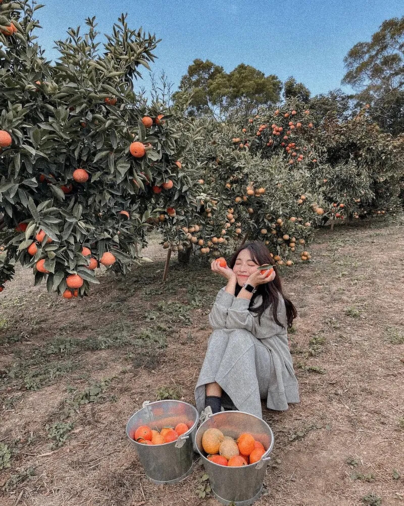 圖 / IG @ashley33er