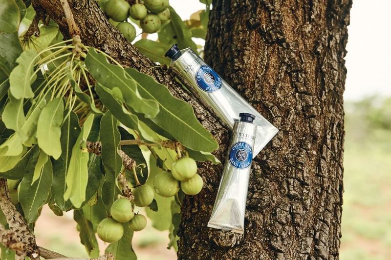 L’OCCITANE歐舒丹乳油木護手霜情境照。 L’OCCITANE歐舒丹乳油木護手霜情境照。