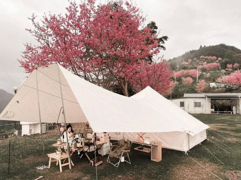 圖片來源/IG@nero1014 圖片來源/IG@nero1014