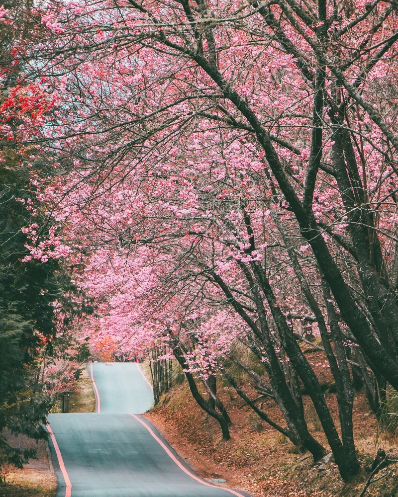 圖片來源/IG@kentseng403 圖片來源/IG@kentseng403