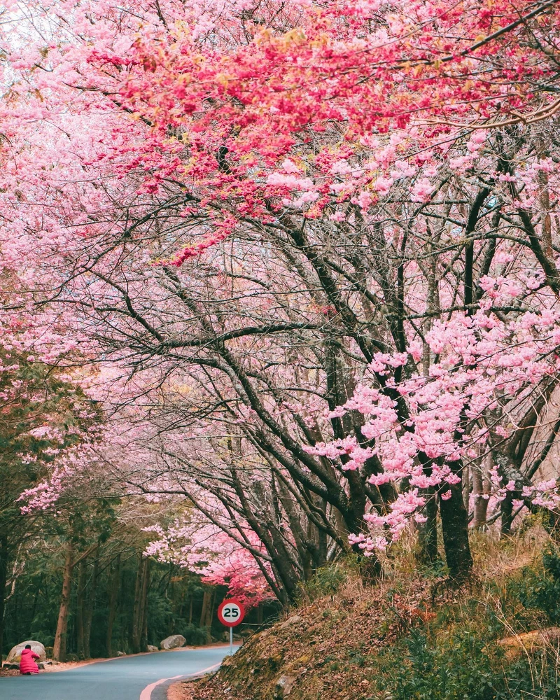 圖片來源/IG@kentseng403 圖片來源/IG@kentseng403