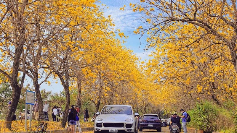 Photo／IG@ because_of_yous 授權提供