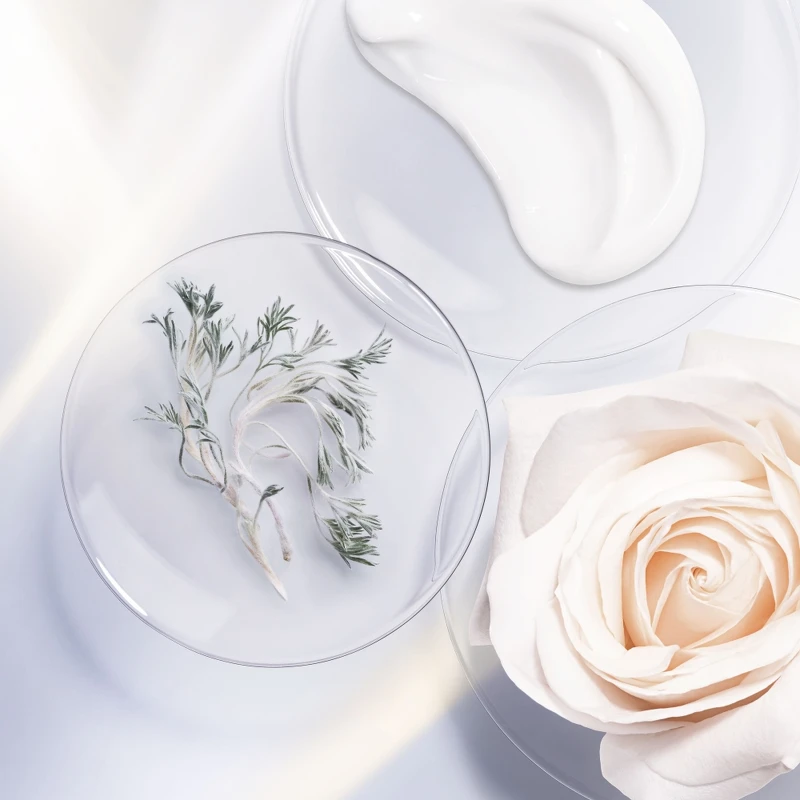 DIOR迪奧精萃再生光燦淨白修護乳成份情境照。