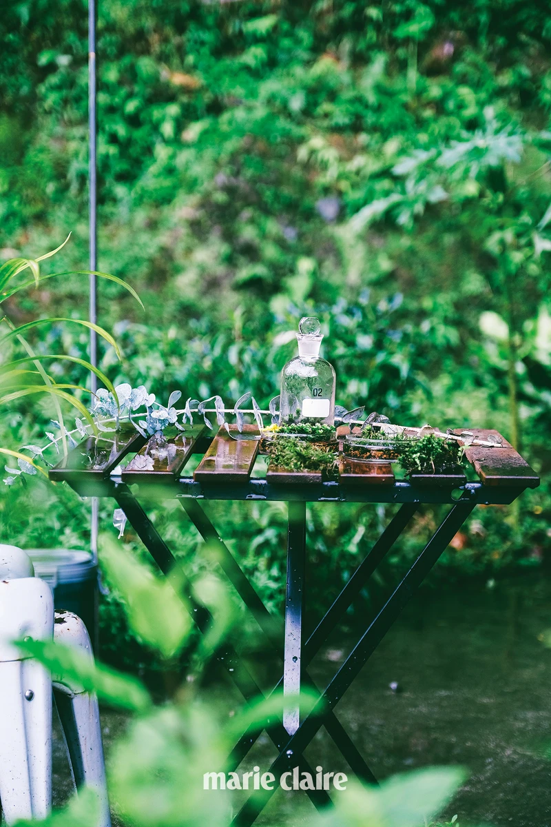 可在被原始綠意包圍下好好的停留休憩。 可在被原始綠意包圍下好好的停留休憩。